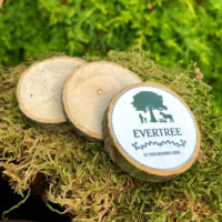 Houten schijf met naam of afbeelding - Afbeelding 2