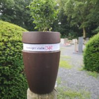 3,5liter EVERTREE® urn (inclusief grond en zaden)